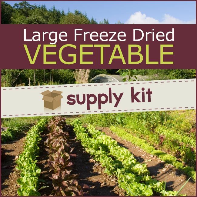 Freeze Dried Organic Collard Green Powder Coarse at  -  Free shipping $99+