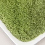 Freeze Dried Organic Kale Powder